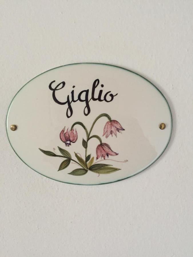 Qui Wolf Udine Hotel Collalto Kültér fotó